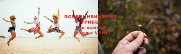 спиды Алзамай