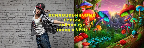 СК Алексеевка