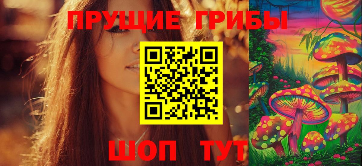 Псилоцибиновые грибы GOLDEN TEACHER Ухта