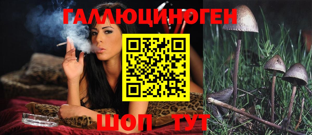 Псилоцибиновые грибы Psilocybe  Вход с VPN  Галлюциногенные грибы прущие грибы  Ухта 